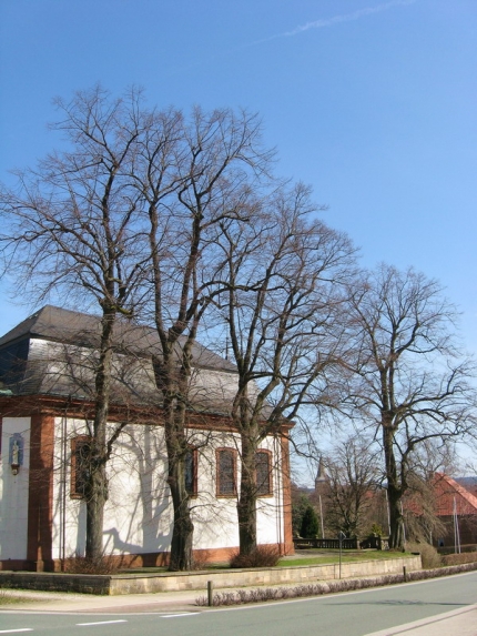 Bild 2 von 6 Linden an der Wallfahrtskapelle